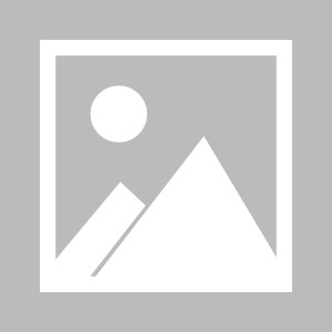 九游热门游戏-【法甲】勒阿弗尔vs里昂伤病名单最新(2024年10月20日)